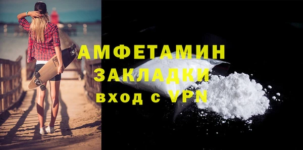 сатива Бородино