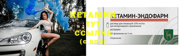 сатива Бородино