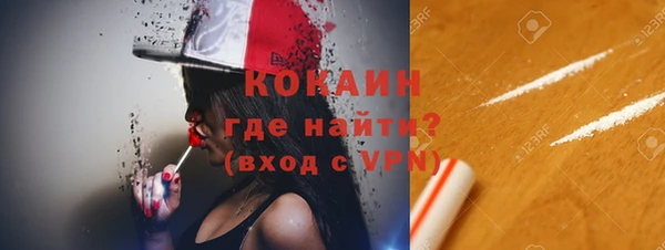 сатива Бородино
