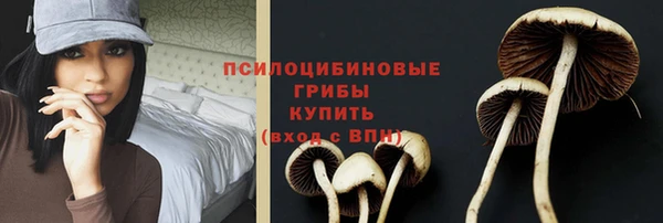 сатива Бородино