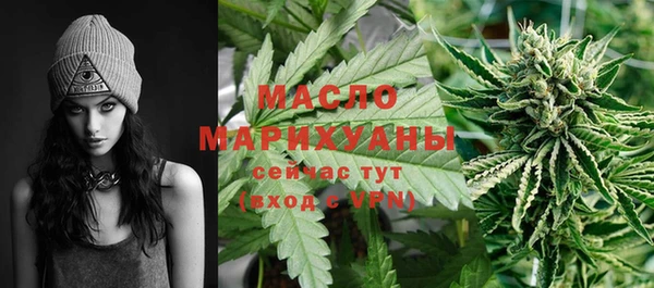 сатива Бородино