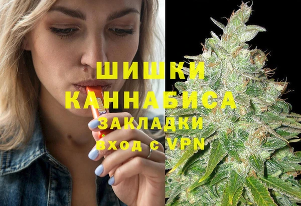 сатива Бородино