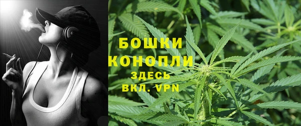 гидра Бронницы