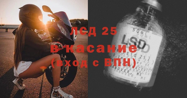 сатива Бородино