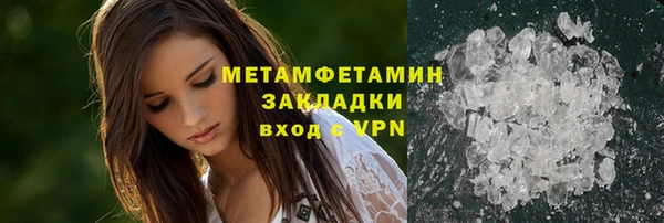 сатива Бородино