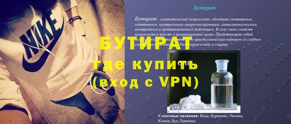 сатива Бородино