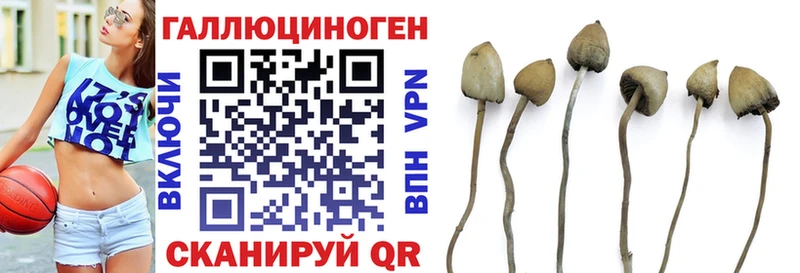 Галлюциногенные грибы GOLDEN TEACHER Дальнегорск