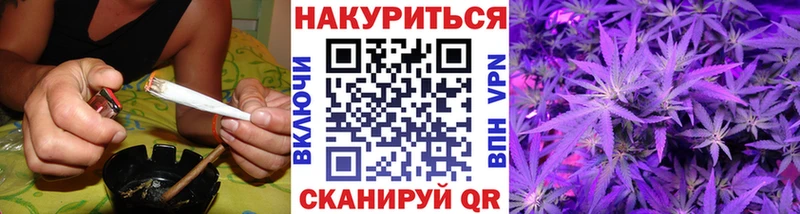 Конопля сатива  Дальнегорск 
